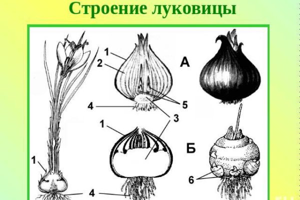 Кракен шеринг