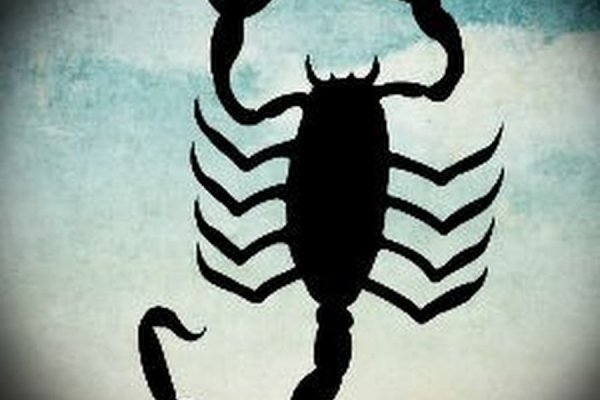 Kraken зеркало krakens13 at