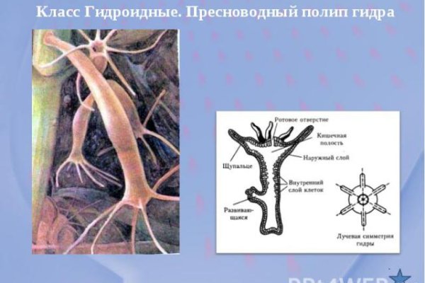 Кракен сайт купить наркотики